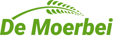 Logo-Natuurwinkel De Moerbei